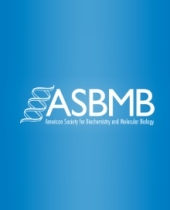 ASBMBToday features a story on our recent work on Ldlr and hypogonadism ASBMBToday features a story on our recent work on Ldlr and hypogonadism